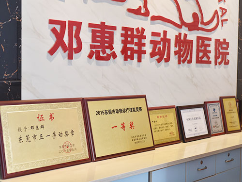 荣誉资质