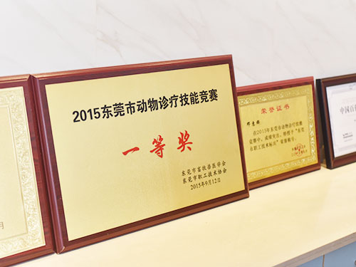荣誉资质