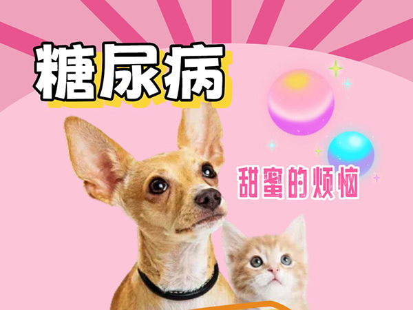 糖尿病‖毛孩们的'甜蜜杀手'