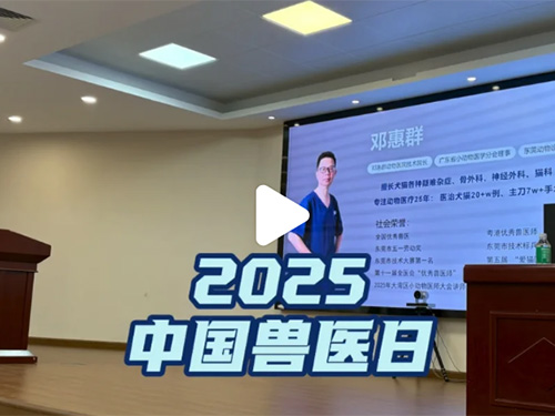 中国兽医日快乐